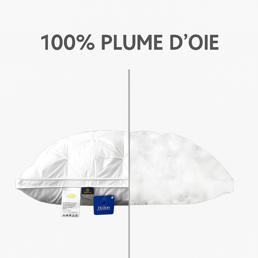 Oreiller en Plumes d’Oie Premium